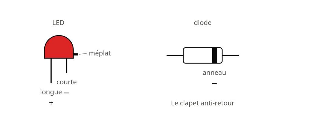 LED avec patte longue et méplat, et diode avec son anneau de cathode