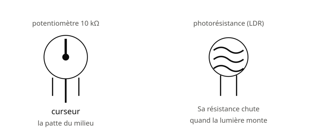 Potentiomètre 10 kilo-ohms avec sa patte centrale de curseur, et photorésistance